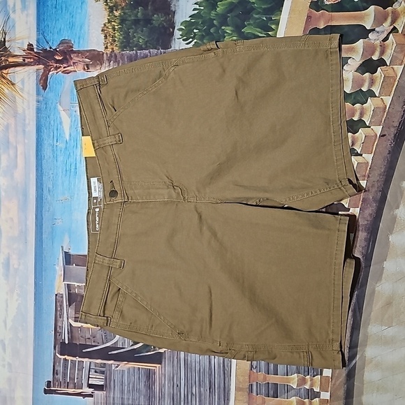 Carhartt Loose Fit Shorts High Rise Size 14 NWT - Picture 1 of 6